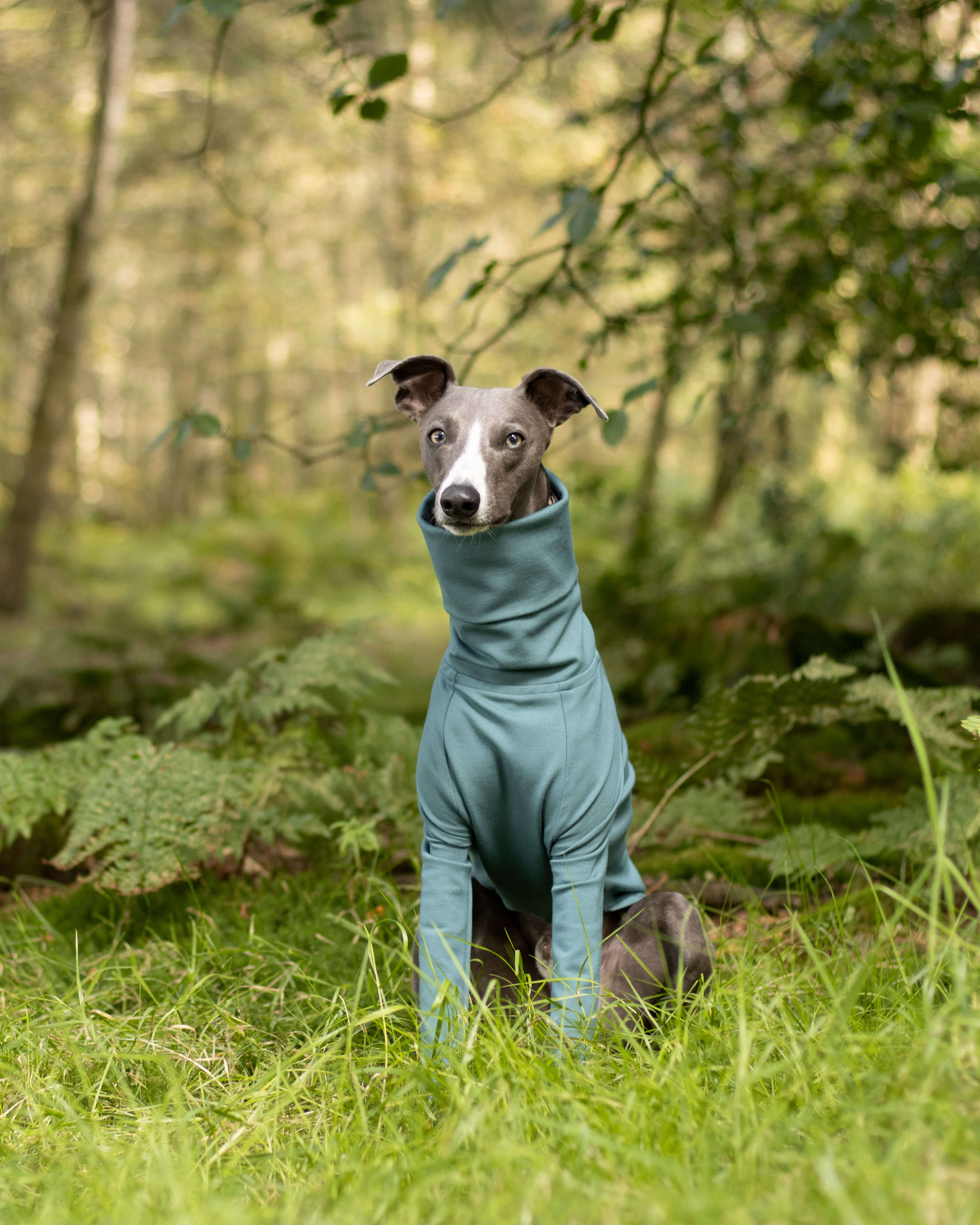 THE CAIRO Whippet Jumper (Blues)