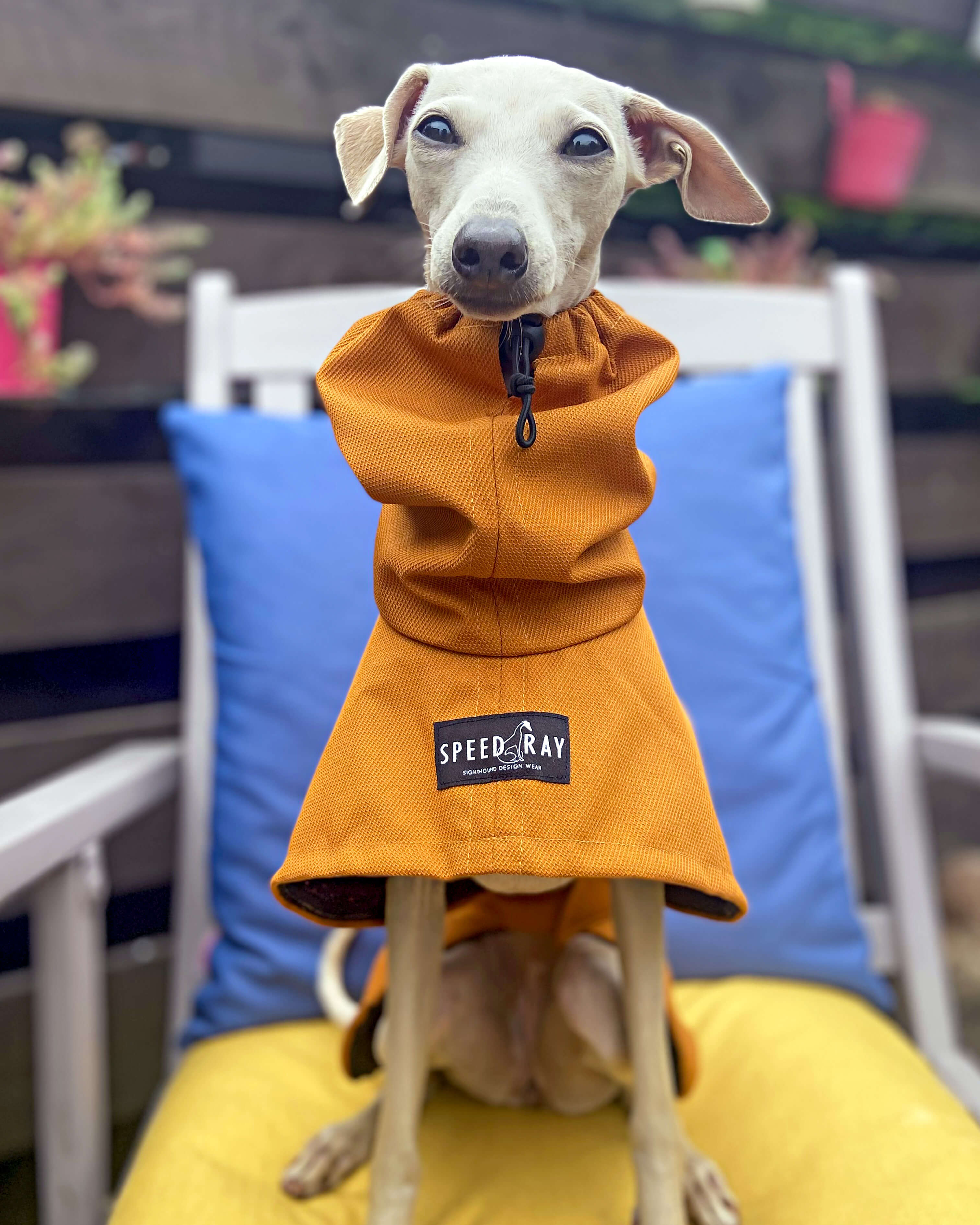 THE ROXY Raincoat - Iggy Size
