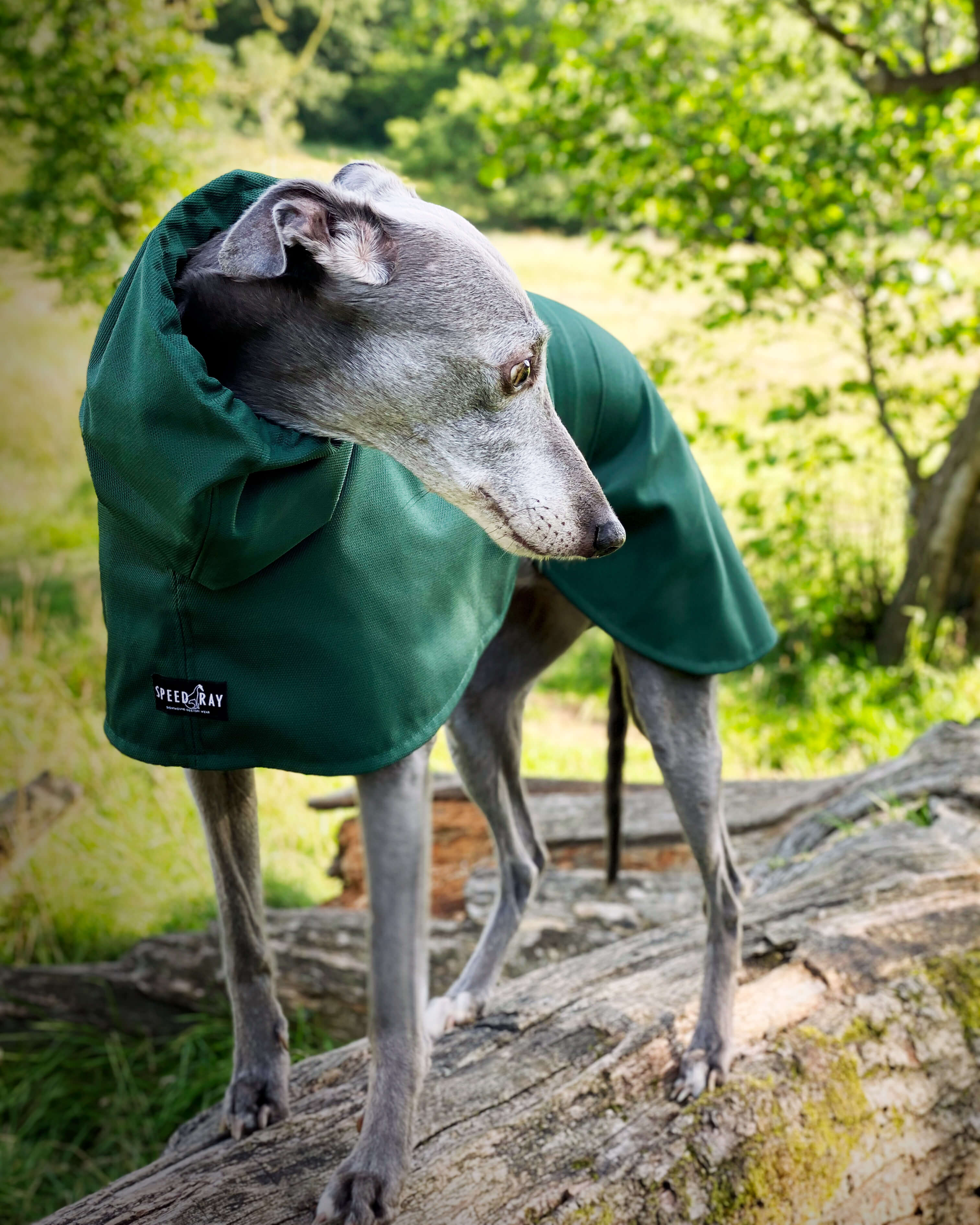 THE THEO Lightweight, Water Resistant, Whippet Raincoat (Darks)