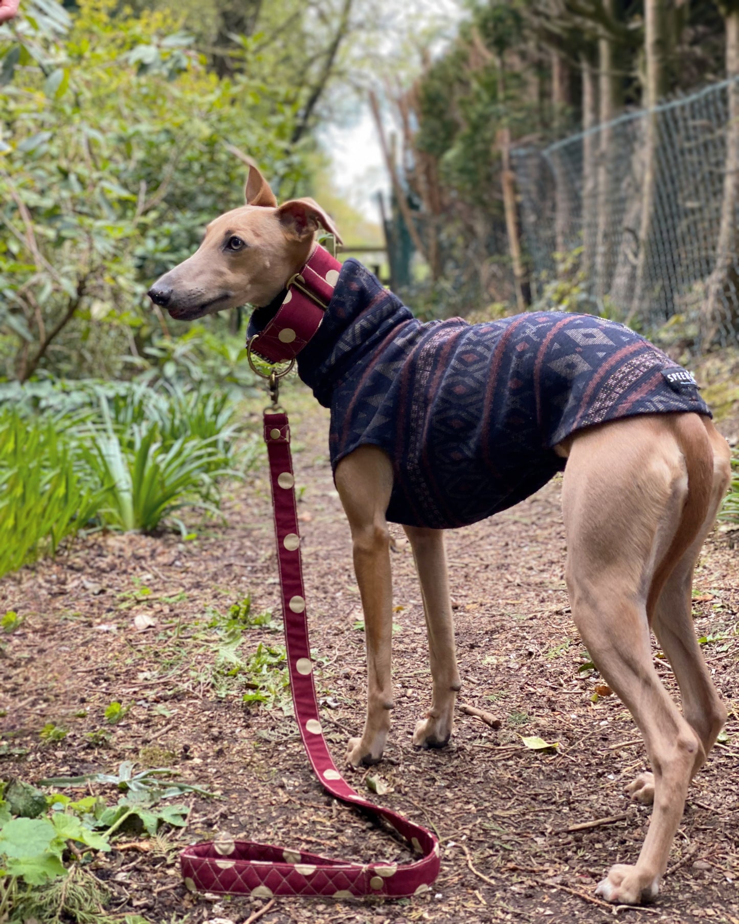 THE SAMMY Whippet Jumper