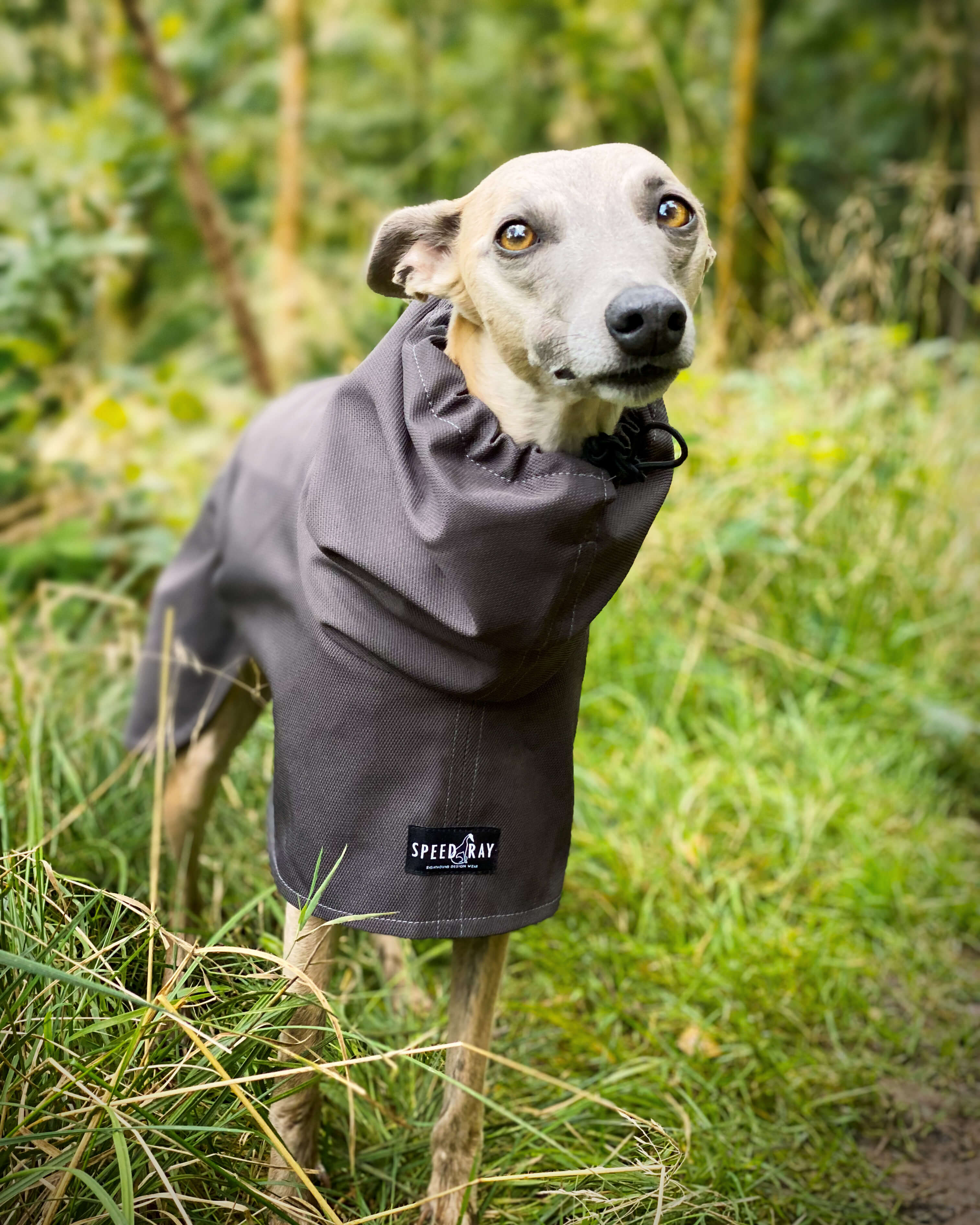 THE THEO Lightweight, Water Resistant, Whippet Raincoat (Darks)