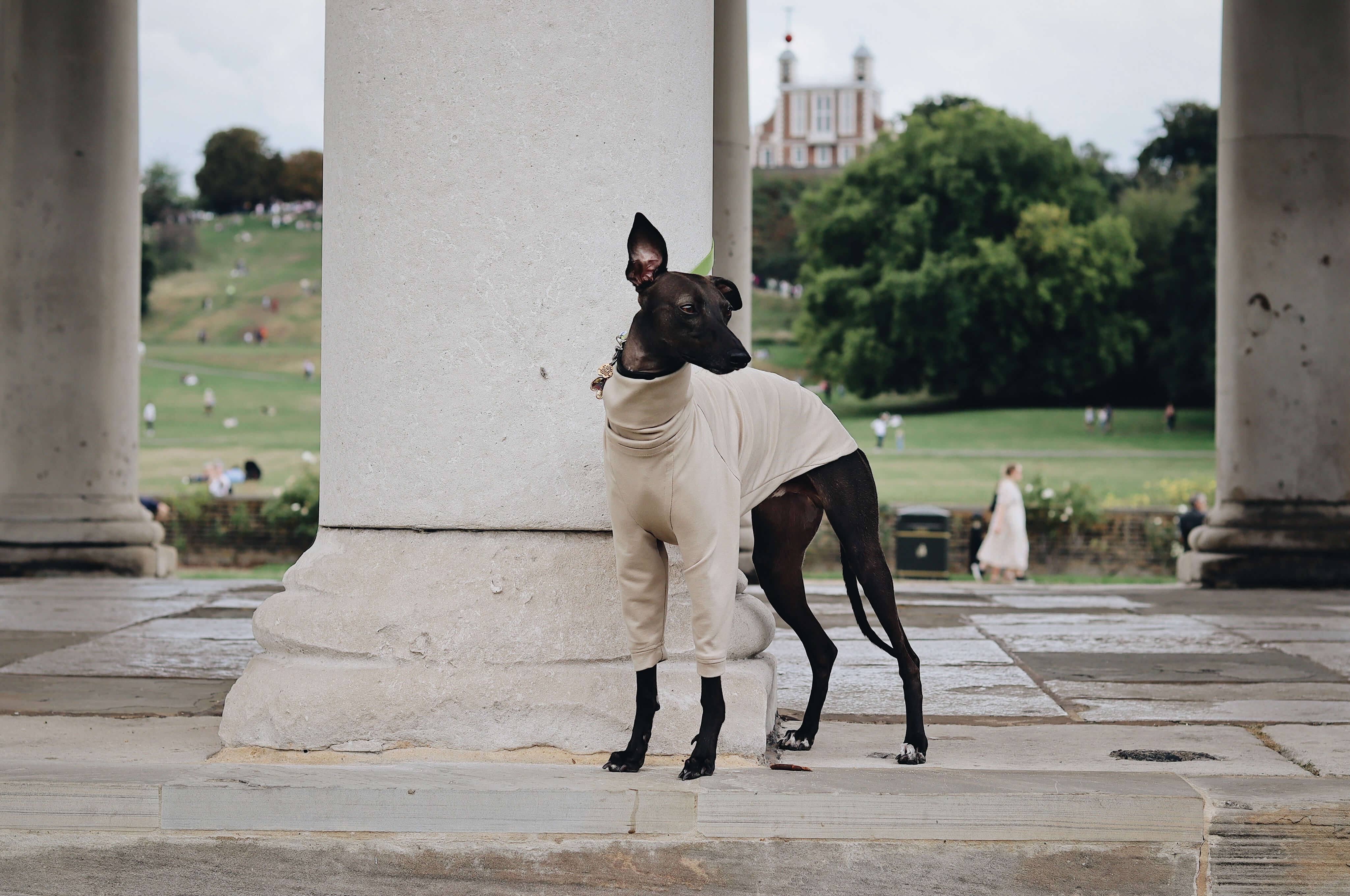THE CAIRO Jumper