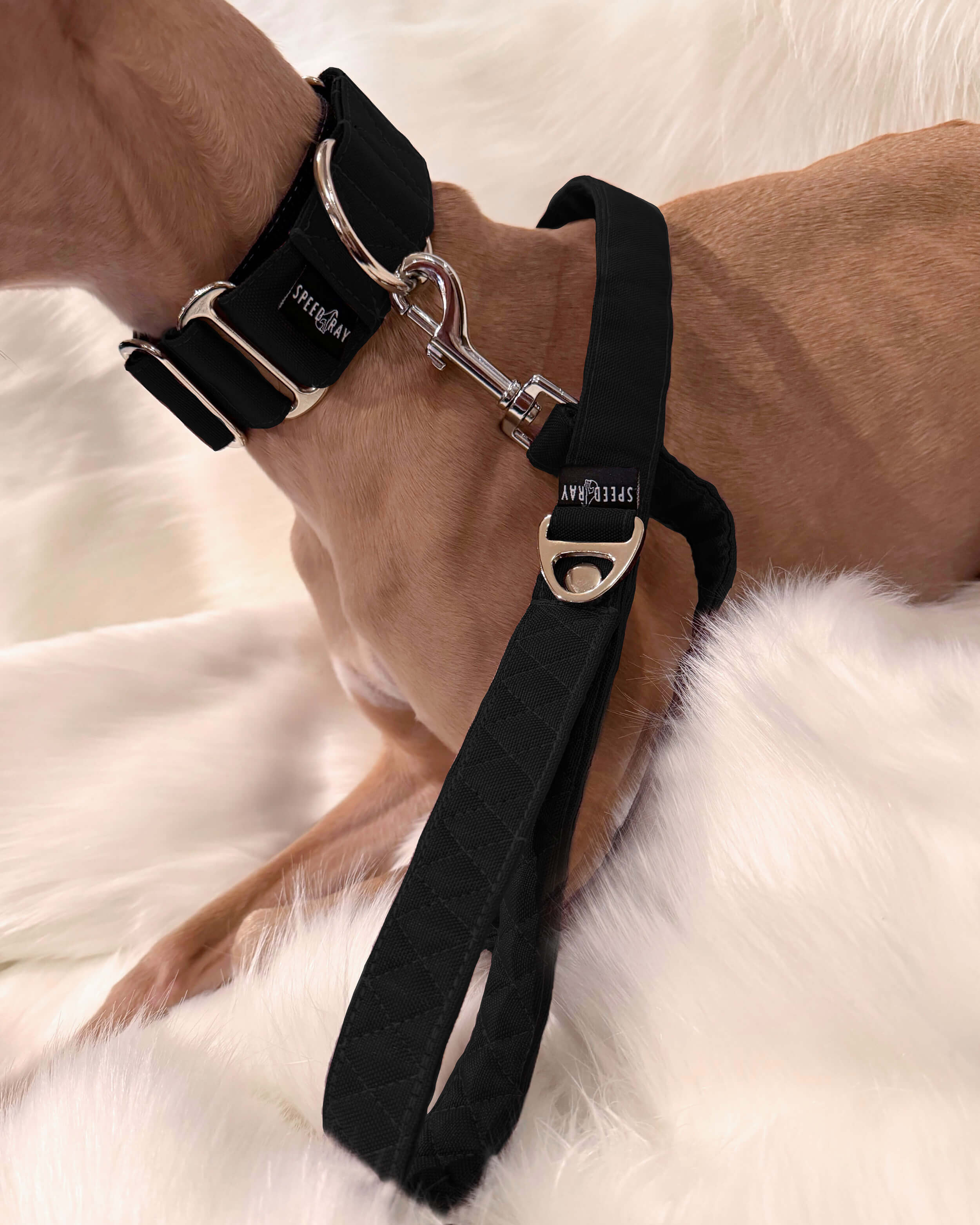 The ELSA Martingale Collar