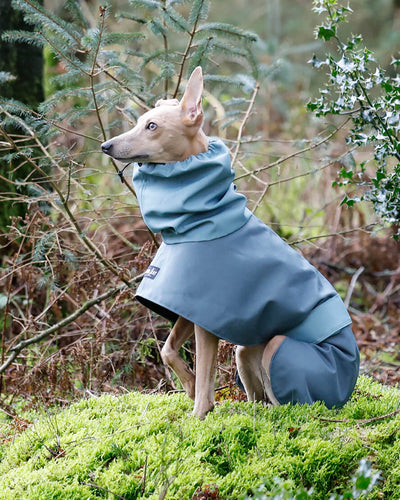 THE ELSA Lightweight, Water Resistant, Whippet Raincoat