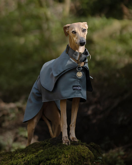 THE ELSA Trench Raincoat - Earthy Tones - Greyhound Sizes
