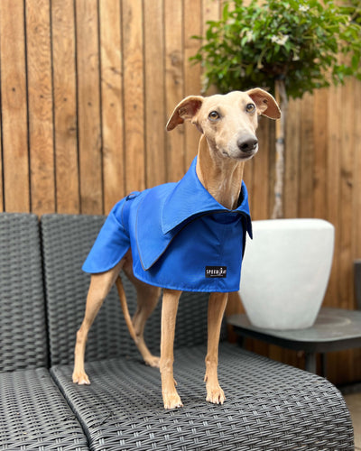 THE ELSA Trench Raincoat - Greyhound Size