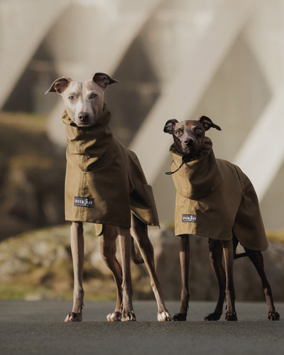 THE ELSA Lightweight, Water Resistant, Whippet Raincoat
