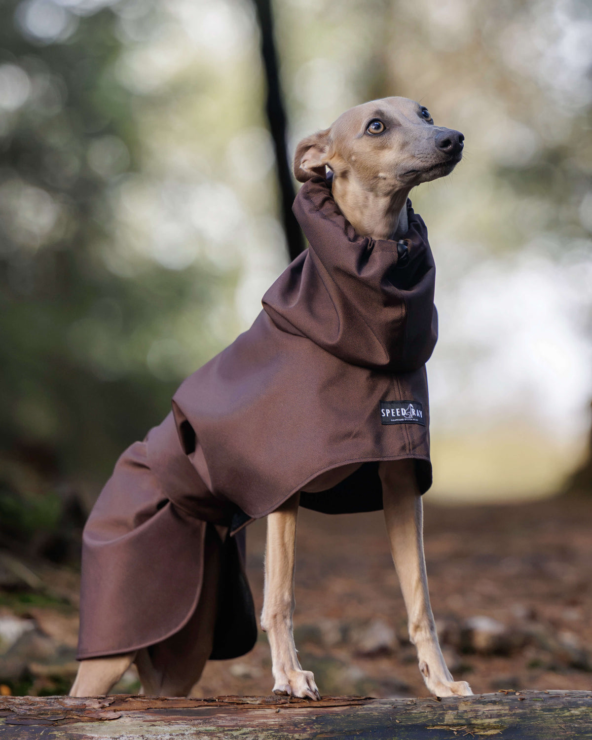 THE ELSA Lightweight, Water Resistant, Whippet Raincoat