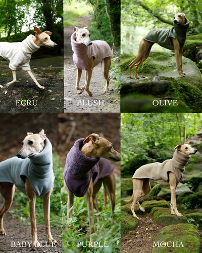 THE BERRY Short Sleeved Premium Fleece Whippet Jumper