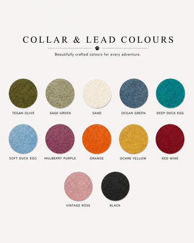 THE ELSA Martingale Collar