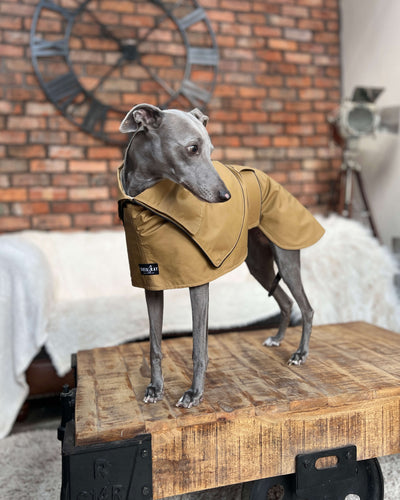 THE ELSA Trench Wax Jacket - Greyhound Size