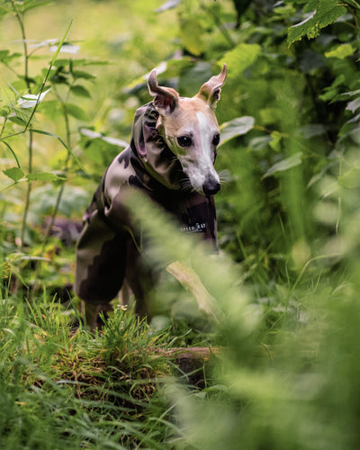 THE DINO Lightweight Camouflage, Water Resistant, Whippet Raincoat