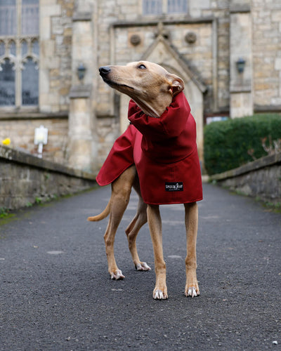 THE ELSA Lightweight, Water Resistant, Whippet Raincoat