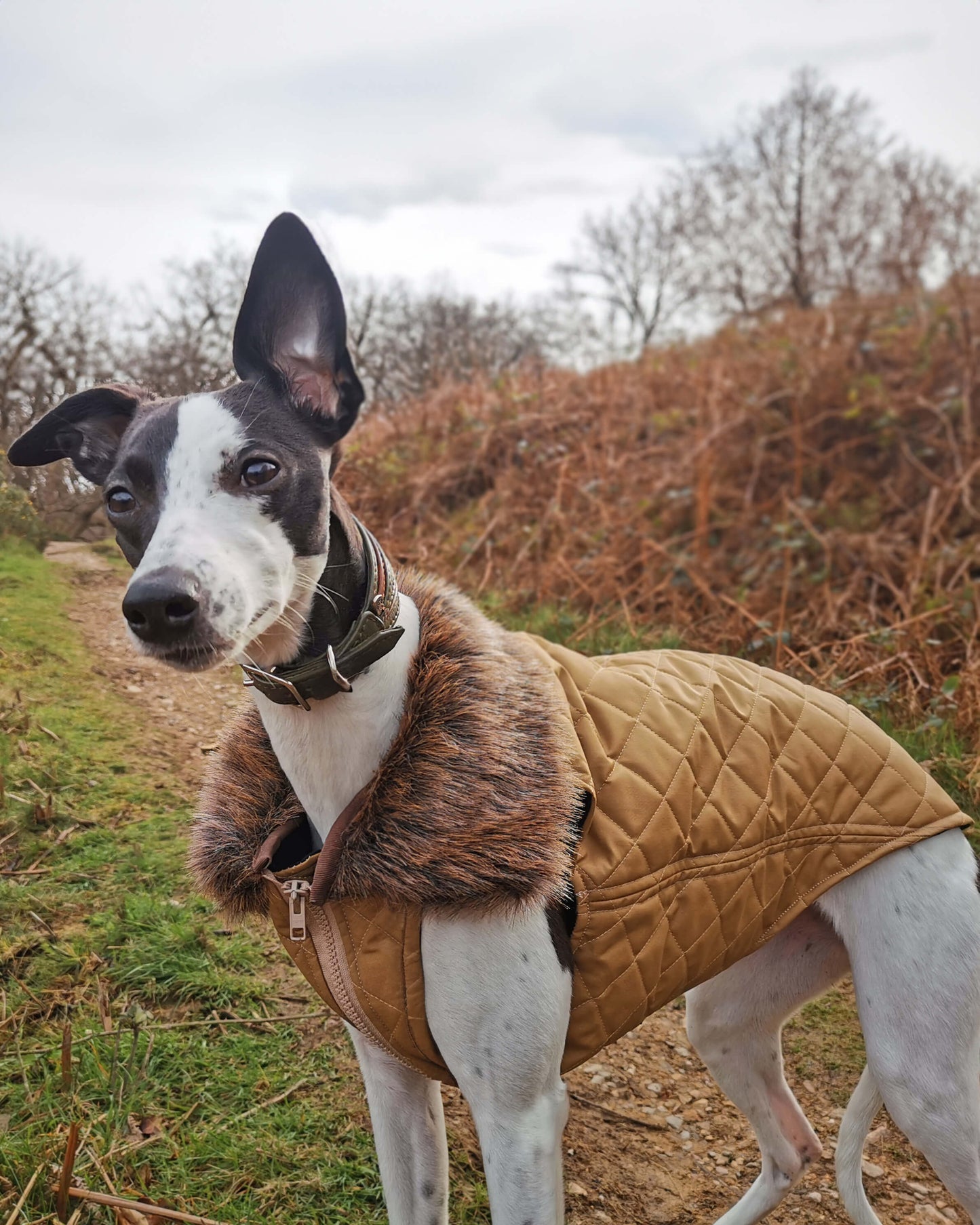 THE MARGOT Gilet - Iggy Size