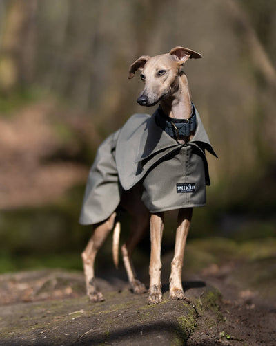 THE ELSA Whippet Trench Raincoat - Earthy tones