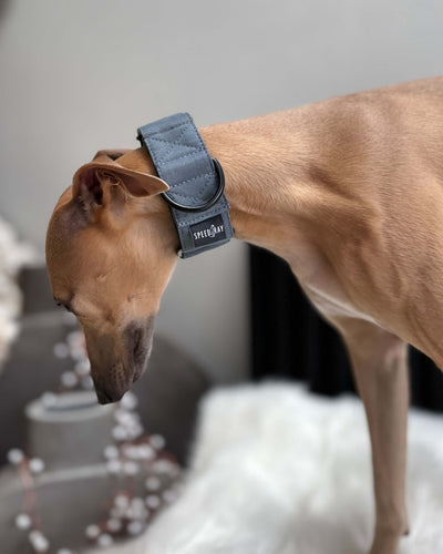 The ELSA Martingale Collar