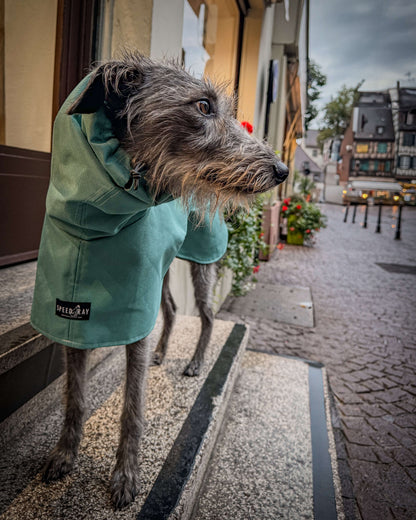 THE ELSA Lightweight, Water Resistant, Whippet Raincoat - Sherpa Edition