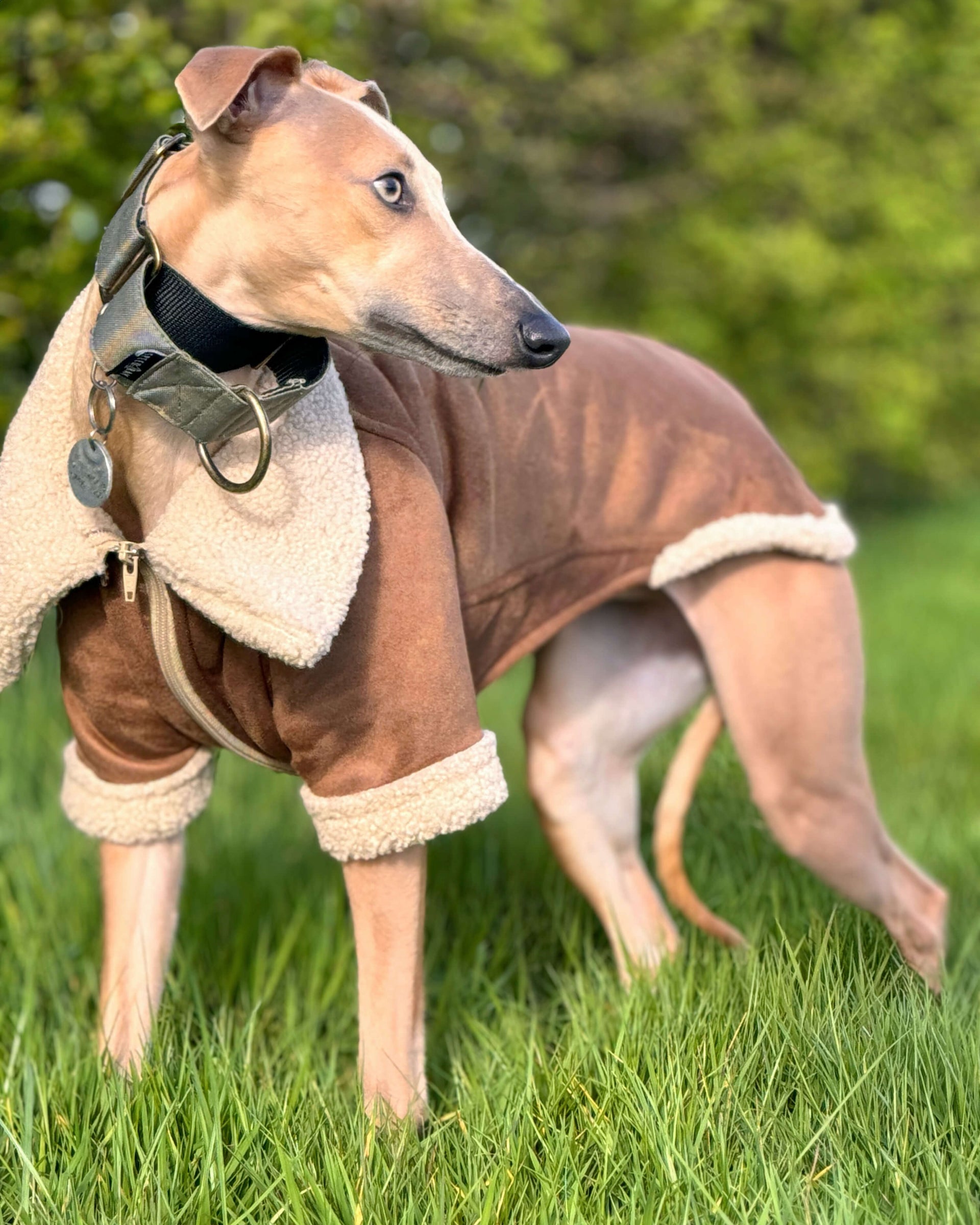 THE ANUBIS Flying Jacket Greyhound Size S Slim Golden Brown Without