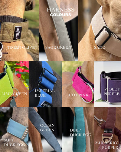 THE ELSA 3 Point Harness