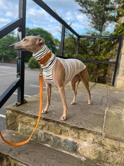 THE POSY Halter Neck Whippet Jumper