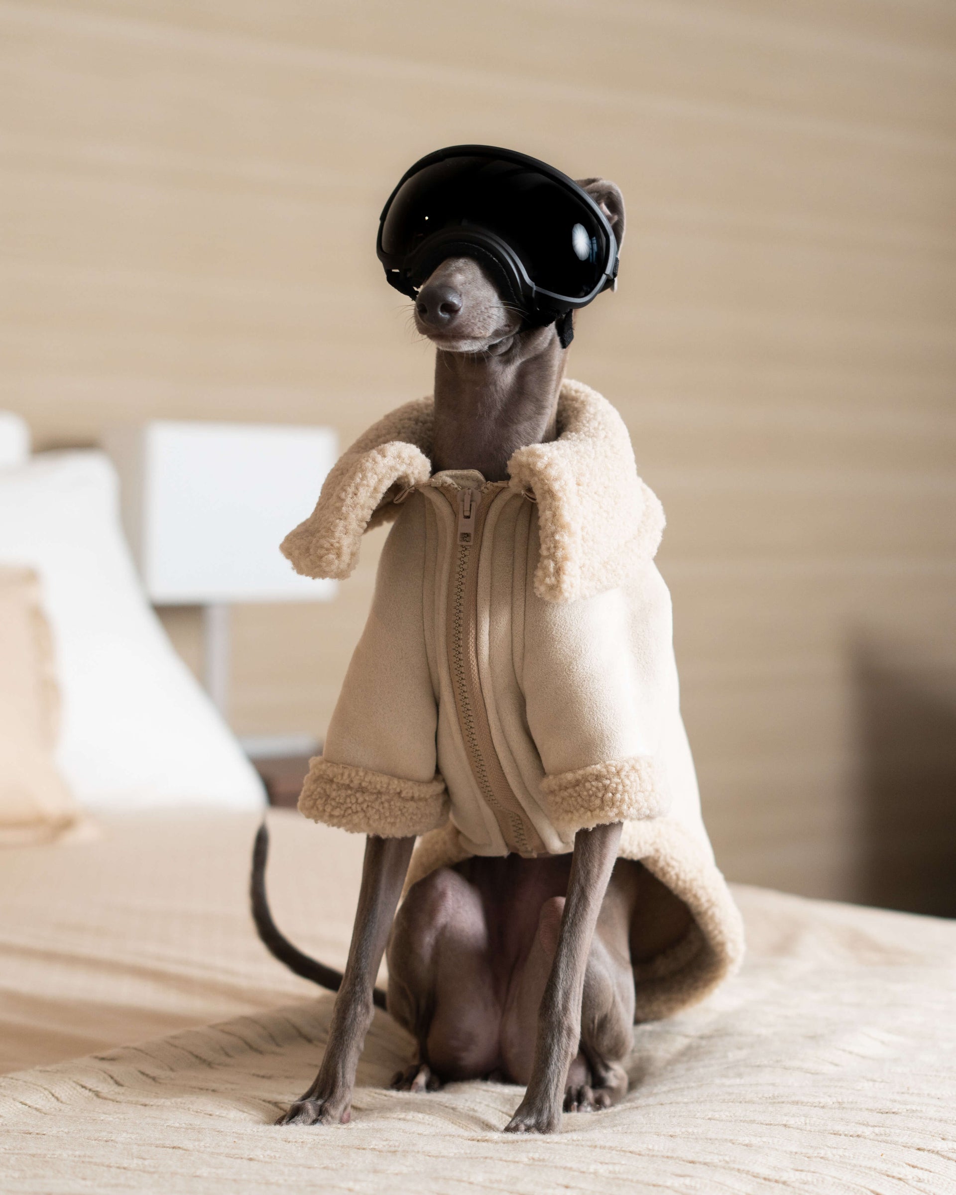 THE ANUBIS Flying Jacket Iggy Size XS Cream Without