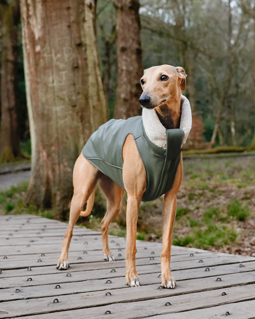 THE RAYE Rain Jacket - Greyhound Size
