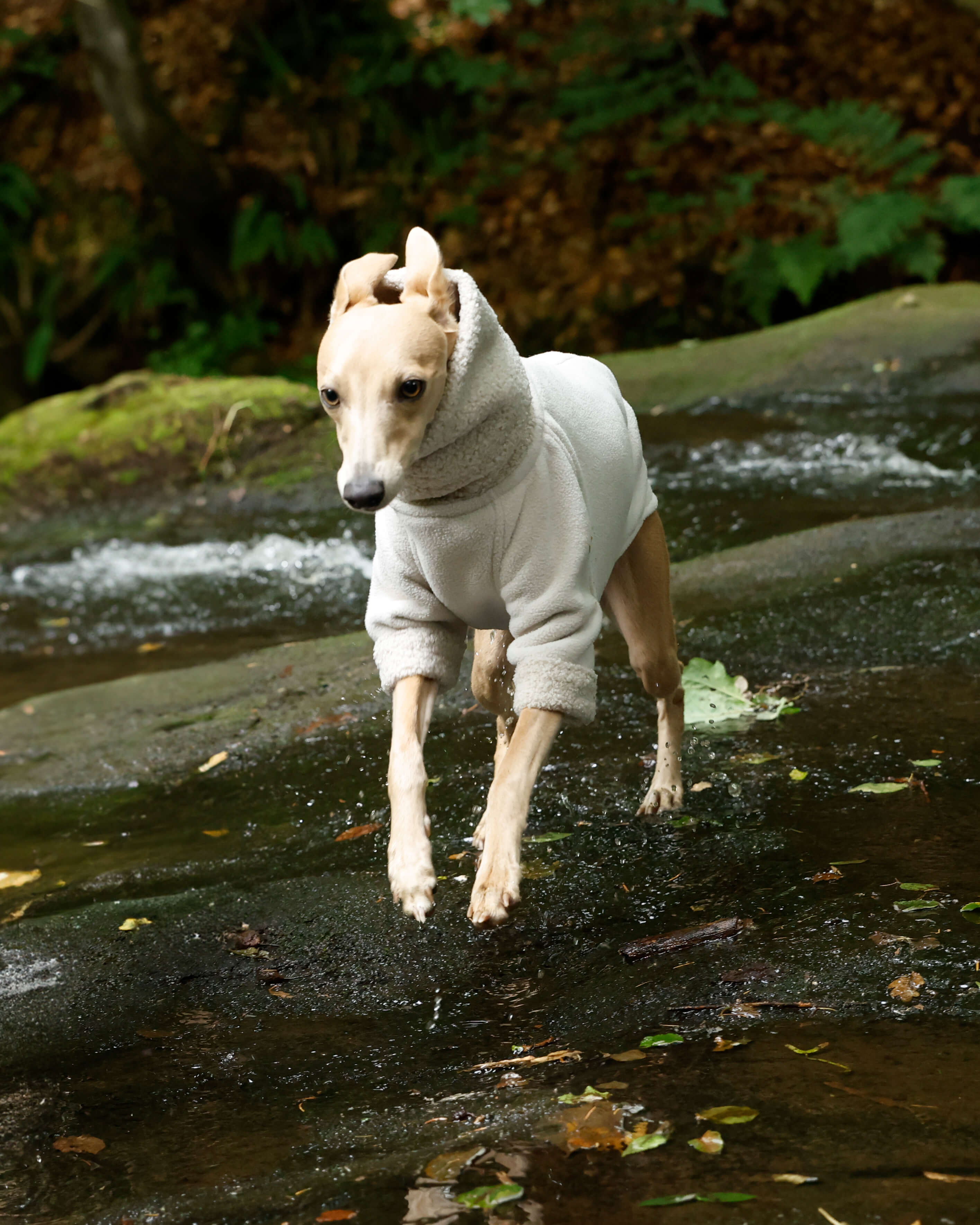 THE BERRY Short Sleeved Premium Fleece Jumper - Greyhound Size