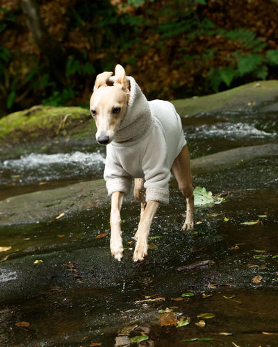 THE BERRY Short Sleeved Premium Fleece Whippet Jumper