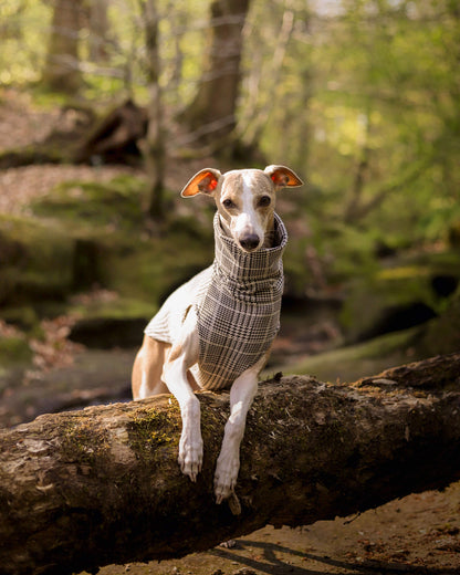 THE DALTON Whippet Jumper