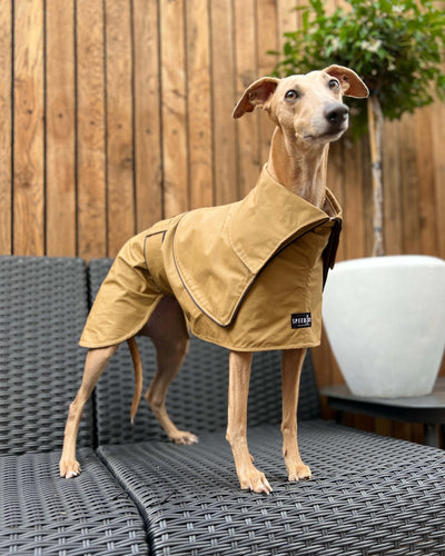 THE ELSA Trench Wax Jacket - Greyhound Size
