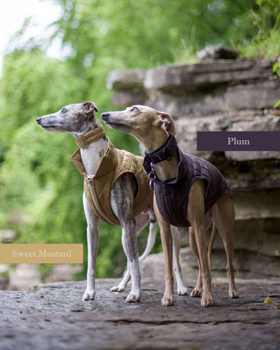 THE MARGOT Whippet Gilet