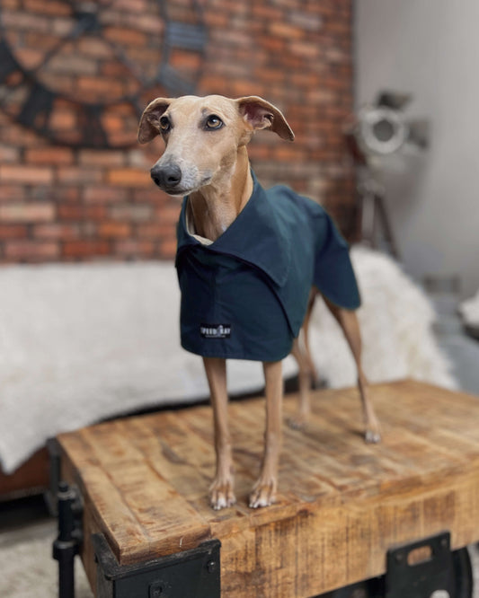 THE ELSA Whippet Trench Wax Jacket