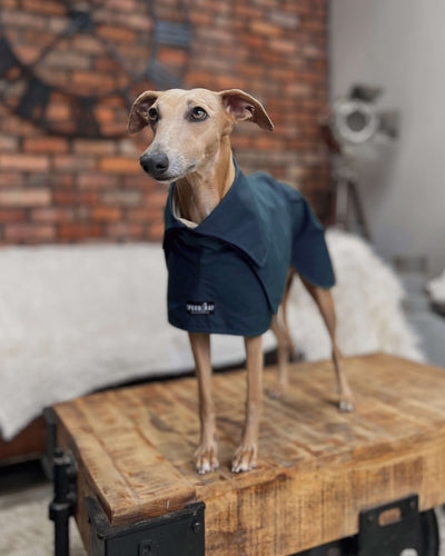 THE ELSA Trench Wax Jacket - Greyhound Size
