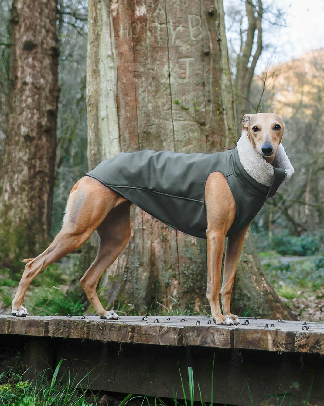THE RAYE Rain Jacket - Greyhound Size