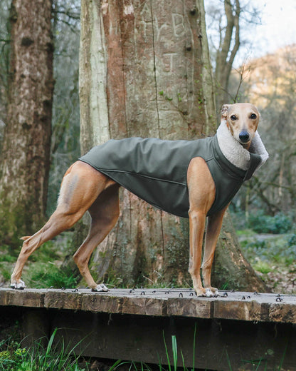 THE RAYE Rain Jacket - Greyhound Size