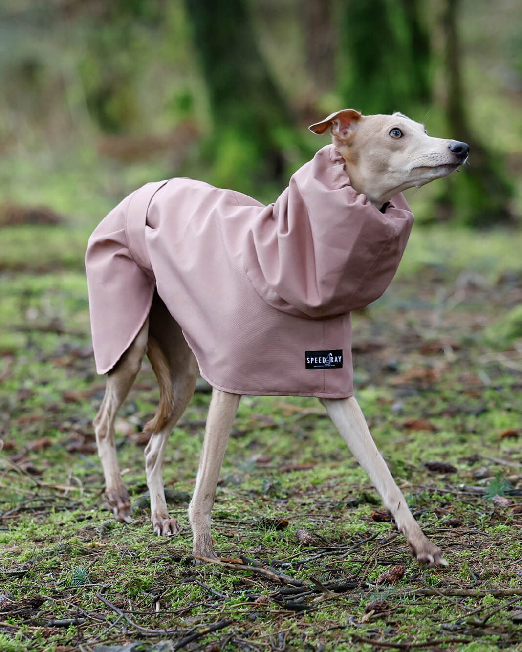 THE ELSA Lightweight, Water Resistant, Whippet Raincoat