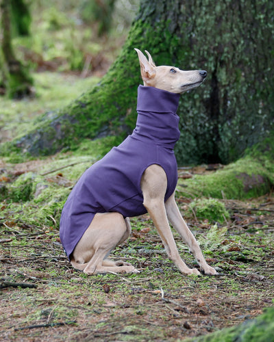 THE CAIRO Whippet Jumper (Reds)