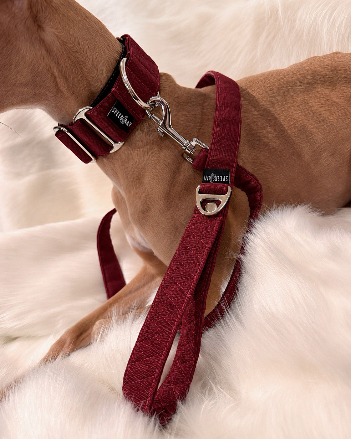 THE ELSA Martingale Collar
