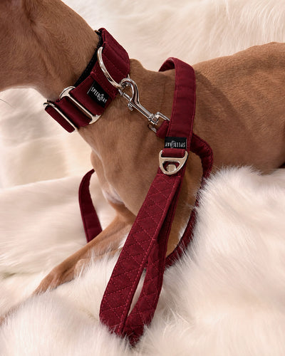 THE ELSA Martingale Collar