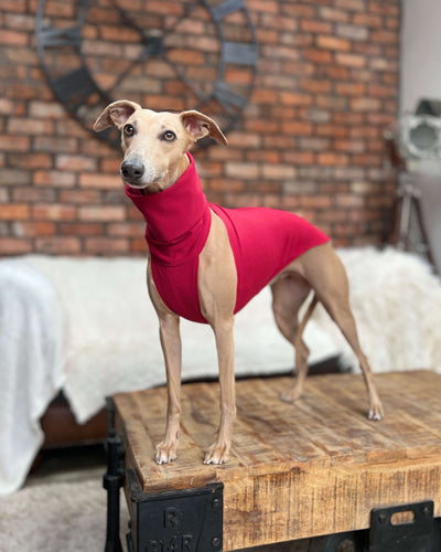 THE POSY Halter Neck Whippet Jumper