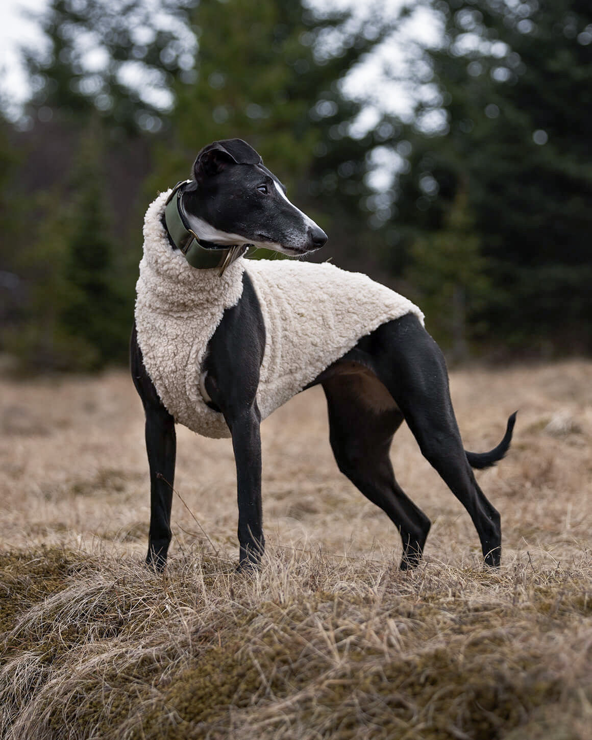 THE DRUNA Jumper - Iggy Size