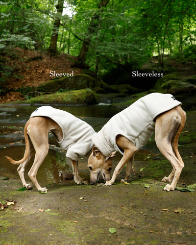 THE BERRY Short Sleeved Premium Fleece Whippet Jumper