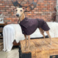 THE ELSA Trench Wax Jacket - Italian Greyhound Sizes