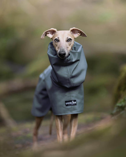 THE ELSA Lightweight, Water Resistant, Whippet Raincoat - Earthy tones