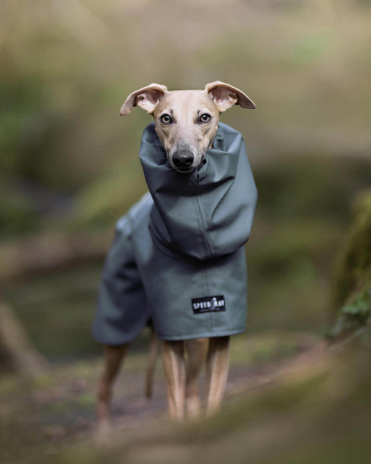 THE ELSA Lightweight, Water Resistant, Whippet Raincoat - Earthy tones