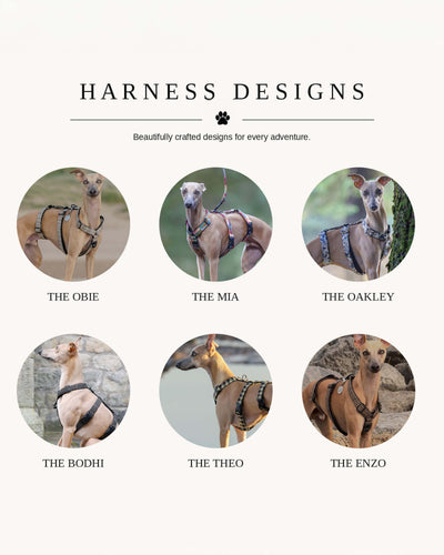 3 Point Sighthound Harness - Patterns