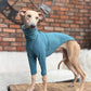 THE CAIRO Whippet Jumper (Blues)