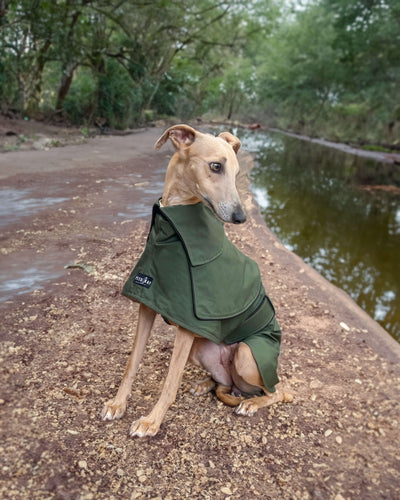 THE ELSA Trench Wax Jacket - Greyhound Size