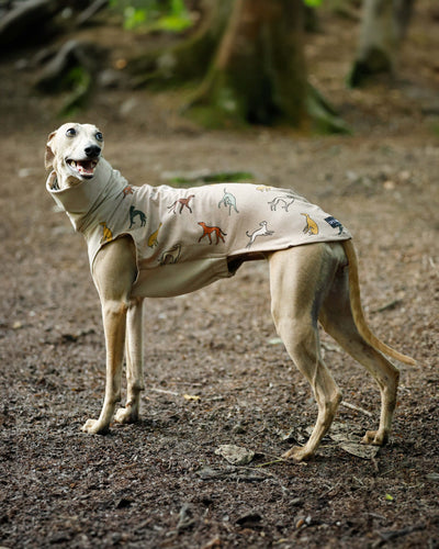 THE BINKY PJ'S Jumper - Greyhound Size