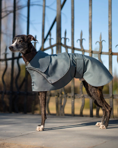 THE ELSA Whippet Trench Raincoat - Earthy tones